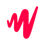 FLV Player