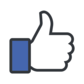 Facebook Likes Popup by Company Tools