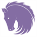 Swift Horse Marketing