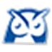 Wise Agent